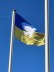 Fahne der Ukraine mit Friedenstaube